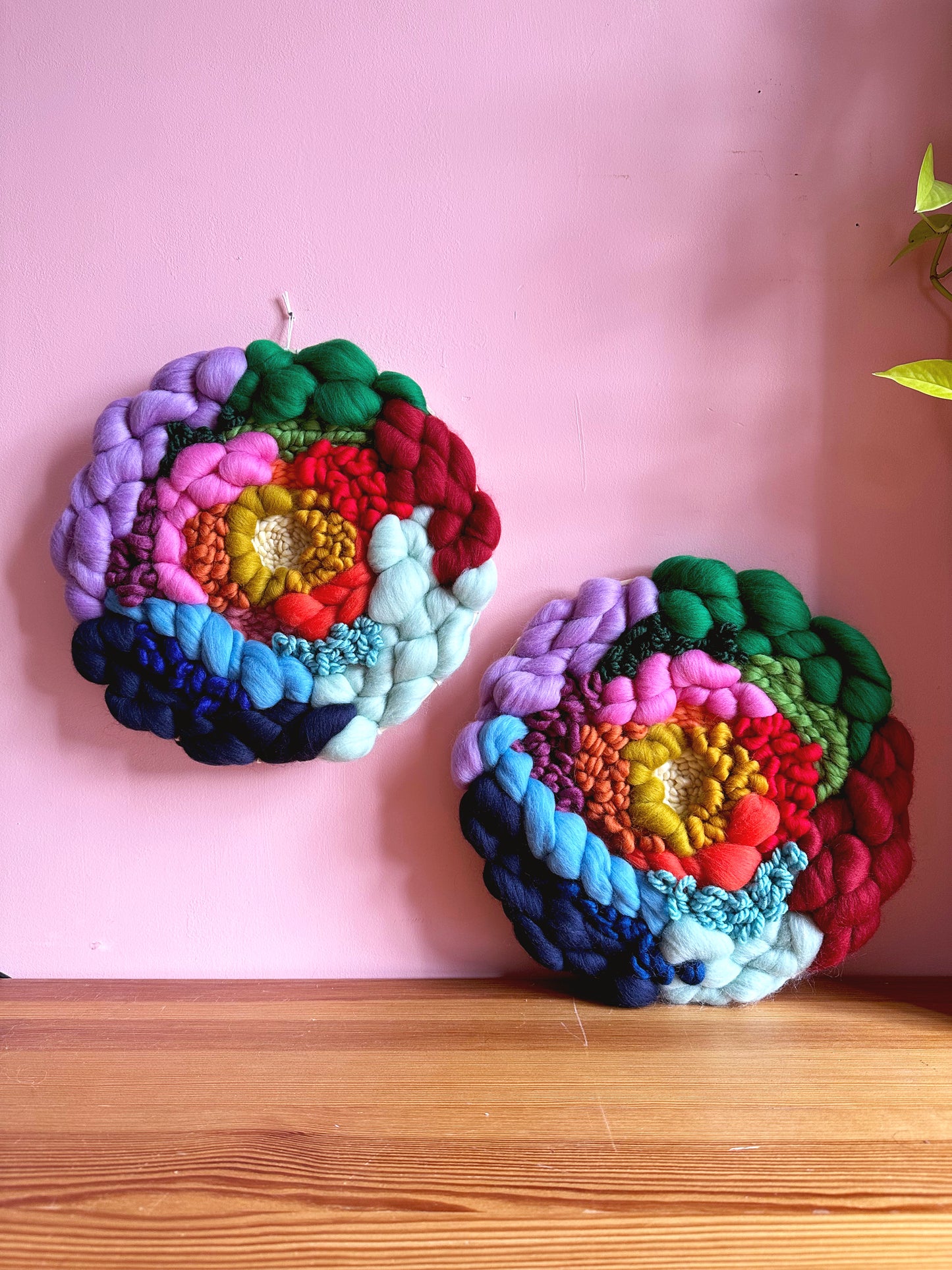 Rainbow Roundie