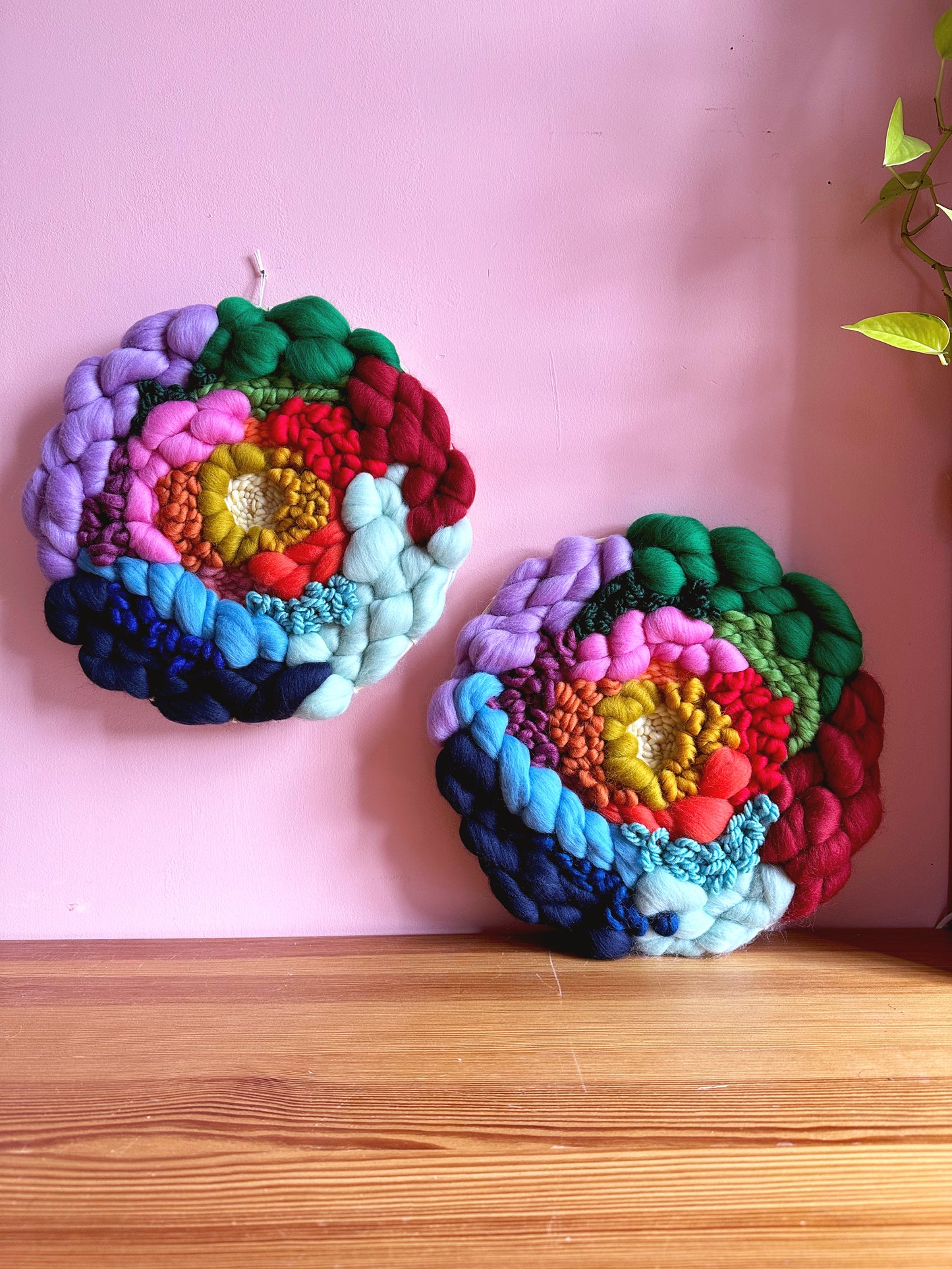 Rainbow Roundie