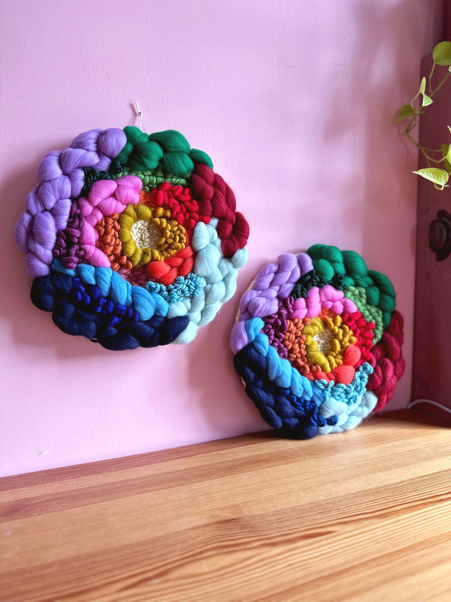 Rainbow Roundie