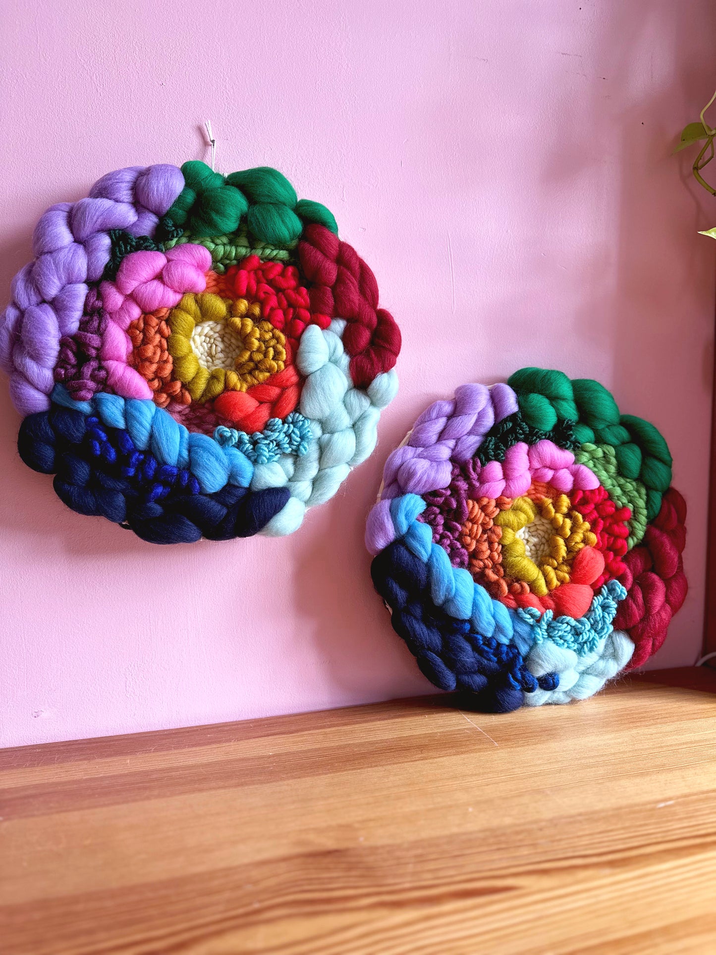 Rainbow Roundie